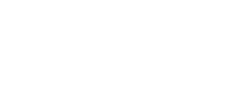Les Mousquetaires Logo